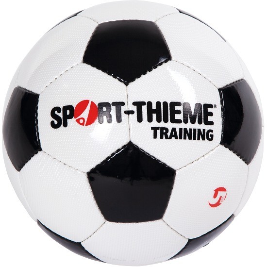 NOGOMETNA ŽOGA TRENING VEL 5