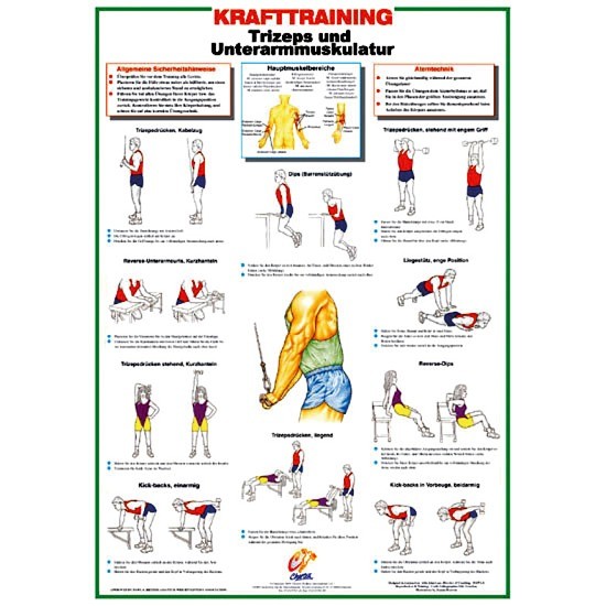 PLAKATI ZA TRENING MOČI (nemški), A1 (59,4 X84 cm)