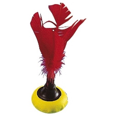 INDIACA - ŽOGICA TURNIR 