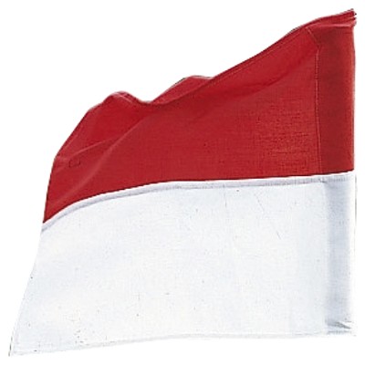 NOGOMETNA KOTNA ZASTAVICA