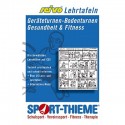 CD REIVO, VAJE ZA GIMNASTIKO, FITNES, ZDRAVJE
