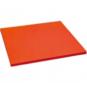 BLAZINA ZA JUDO 100X100X4 CM, 9,8 kg, RDEČA