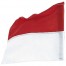 NOGOMETNA KOTNA ZASTAVICA