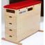 SKRINJA SPORT-THIEME, 5 DELNA, MULTIPLEX Z IMITACIJO USNJA BREZ KOLES 