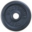 UTEŽ KOLUT LITINA SPORT-THIEME 2,5 KG FI 30 MM